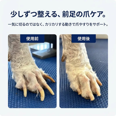 LACIAGA カリカリ爪ケアボード