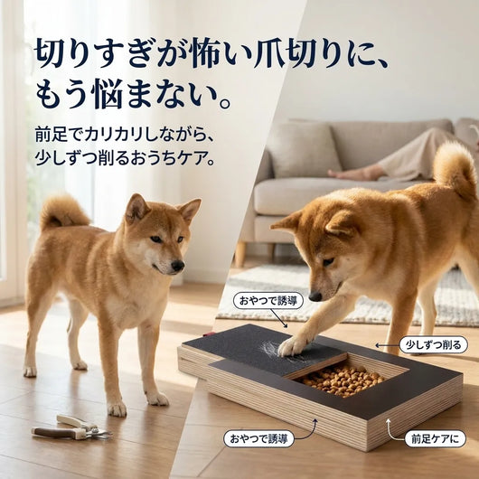 LACIAGA カリカリ爪ケアボード