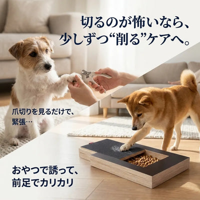 LACIAGA カリカリ爪ケアボード