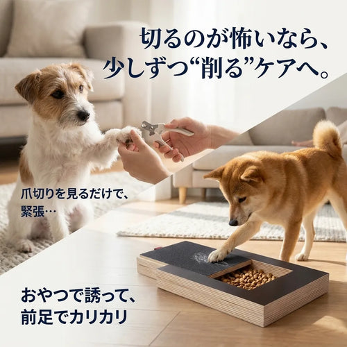 LACIAGA カリカリ爪ケアボード