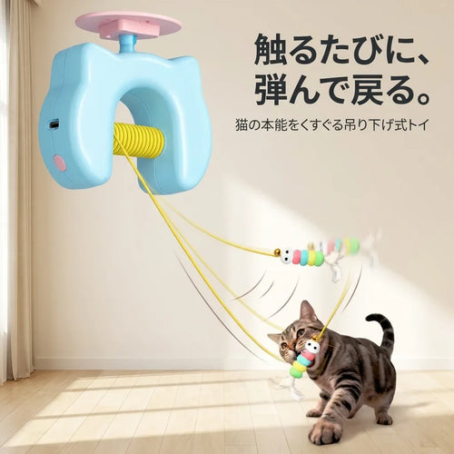 LACIAGA ぴょんピョントイ