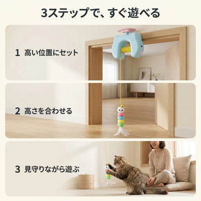 LACIAGA ぴょんピョントイ