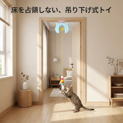 LACIAGA ぴょんピョントイ