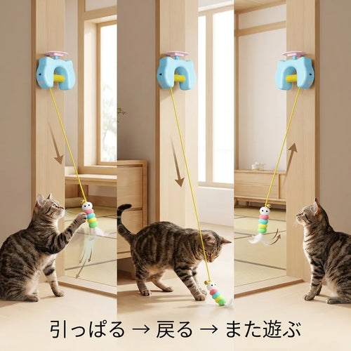 LACIAGA ぴょんピョントイ