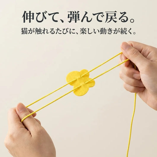 LACIAGA ぴょんピョントイ