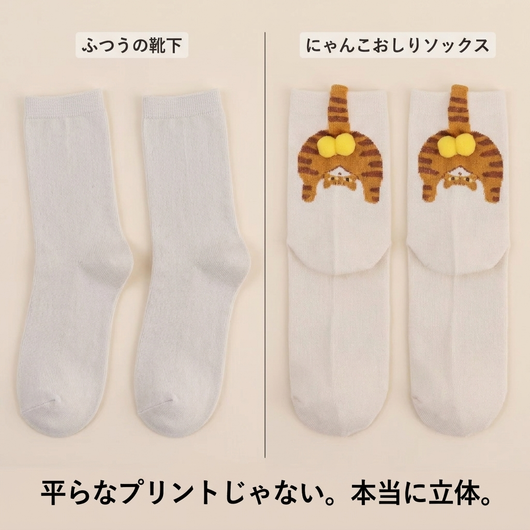 ふつうの靴下との違い