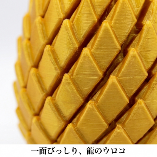 龍のウロコのマクロ