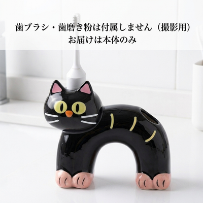 歯ブラシ・歯磨き粉は付属しません（撮影用）