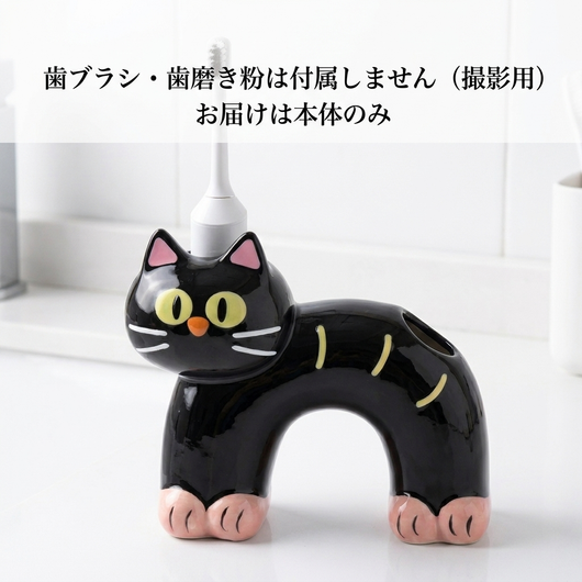 歯ブラシ・歯磨き粉は付属しません（撮影用）