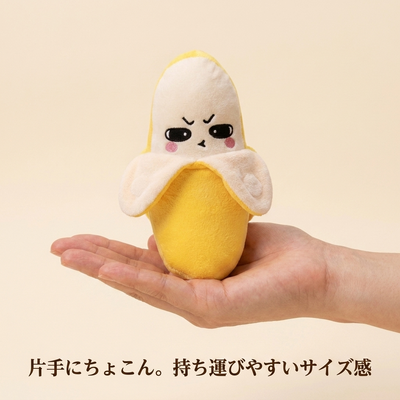 片手にのるサイズ感