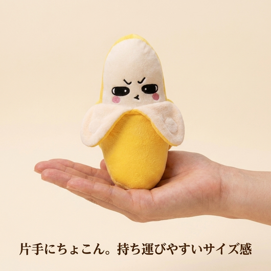 片手にのるサイズ感
