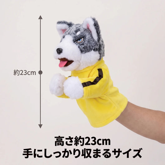 LACIAGA カンフーハスキー