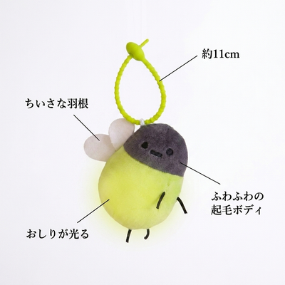 特徴の説明図