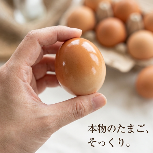 顔のない安静時のツヤある茶色いたまごを持つ手、後ろに本物の卵