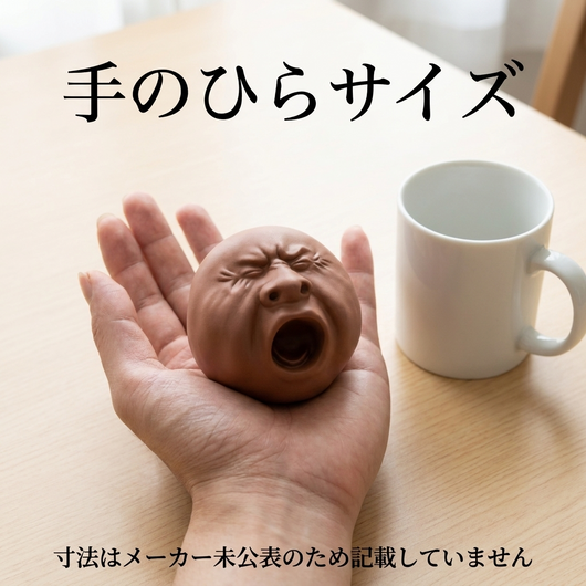 大人の手のひらとマグカップに並べて大きさを比べた真上からのカット