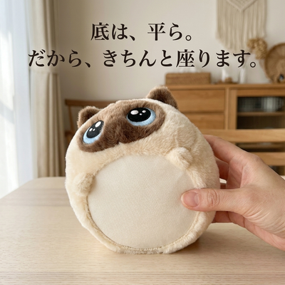 シャムの香箱ねこの平らな生成りの底面
