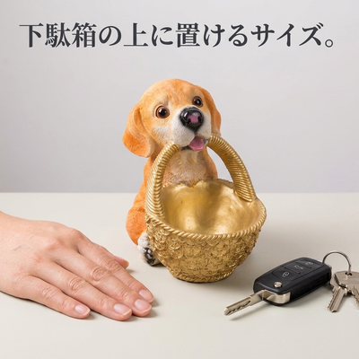 大きさの目安