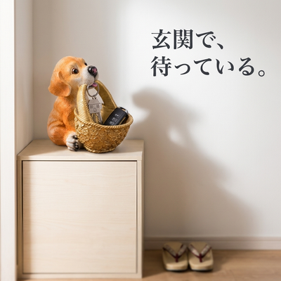 玄関で待っている