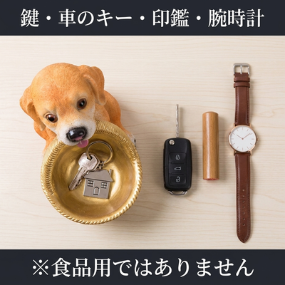 入れられるもの