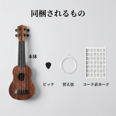 同梱されるもの 本体 ピック 替え弦 コード表カード
