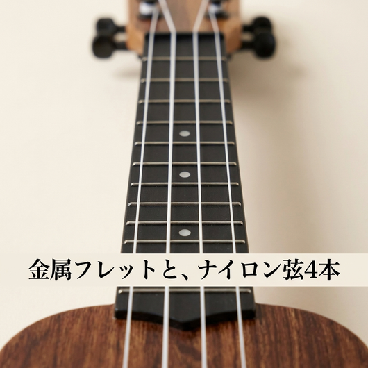 金属フレットとナイロン弦4本