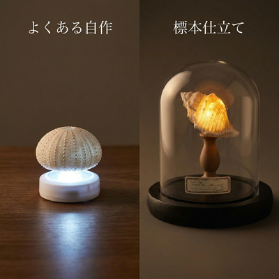 よくある自作と標本仕立ての比較