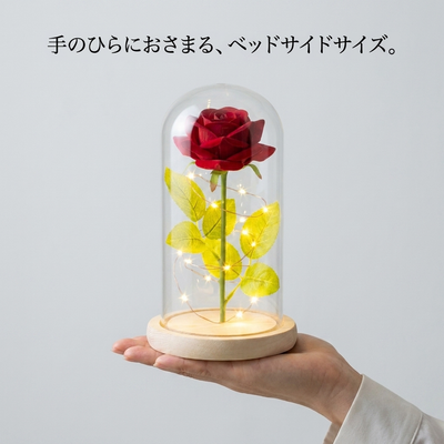 手のひらにおさまるベッドサイドサイズ