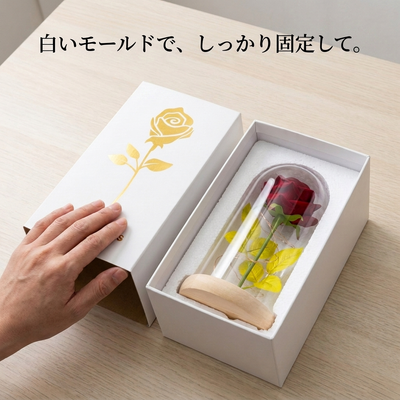 白いモールド緩衝材で固定された梱包の中身