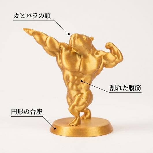 各部の特徴