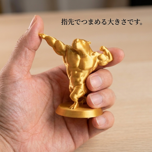 手に持ったときの大きさ